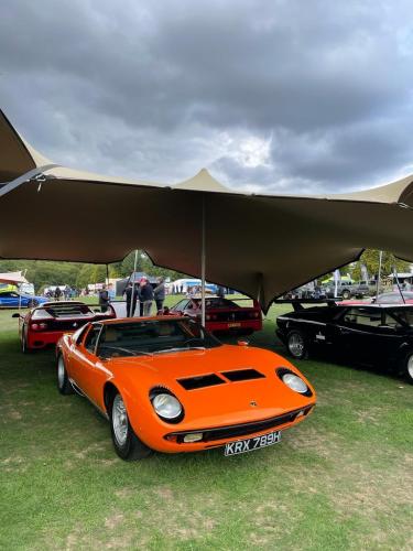 2022-car-shows-18